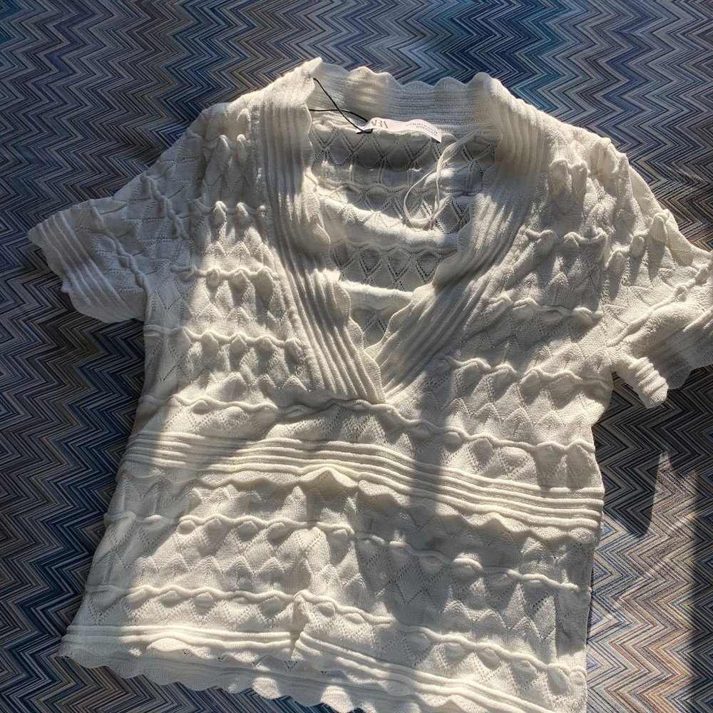 Zara V-Neck Crop Top